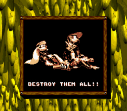 Donkey Kong Land 2