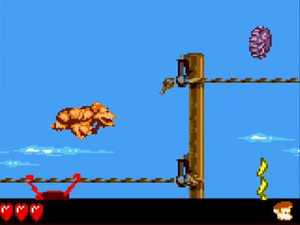Donkey Kong Land III