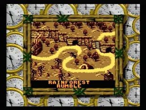 Donkey Kong Land III