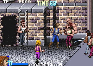 Double Dragon Advance