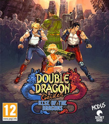 Double Dragon Gaiden: Rise of the Dragons