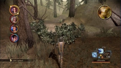 Dragon Age: Origins