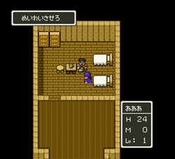 Dragon Quest V: Tenkū no Hanayome