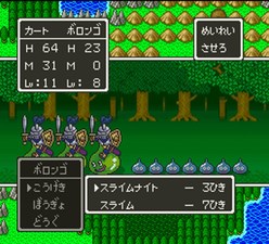 Dragon Quest V: Tenkū no Hanayome