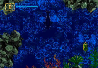 Ecco Jr.