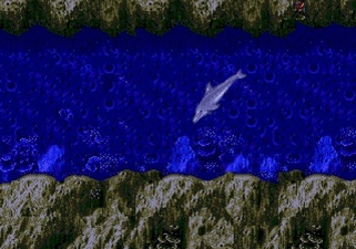 Ecco the Dolphin