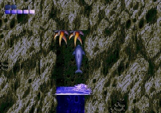 Ecco the Dolphin