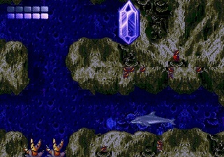 Ecco the Dolphin