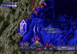 Ecco the Dolphin