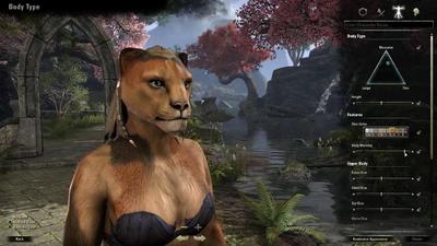 The Elder Scrolls Online