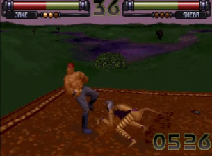 FX Fighter