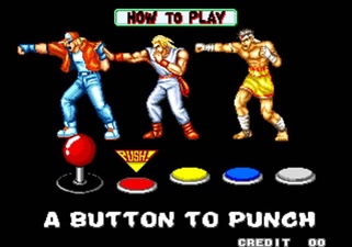 Fatal Fury: King of Fighters
