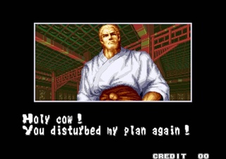 Fatal Fury: King of Fighters