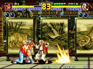 Fatal Fury 2