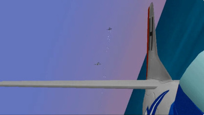Fighter Duel