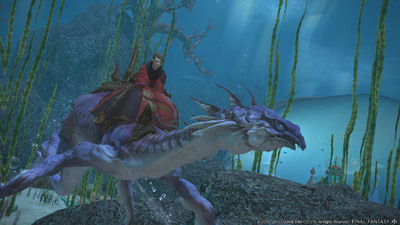 Final Fantasy XIV: Stormblood