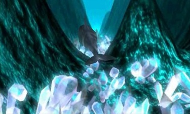 Fluid