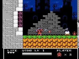 Gargoyle's Quest II: The Demon Darkness