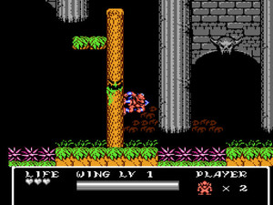 Gargoyle's Quest II: The Demon Darkness