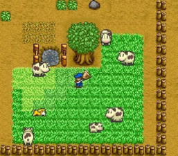 Harvest Moon