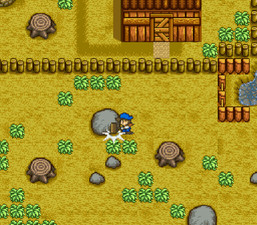 Harvest Moon