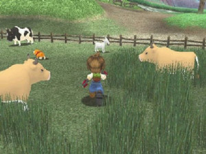 Harvest Moon: A Wonderful Life