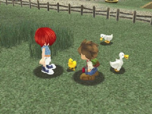 Harvest Moon: A Wonderful Life