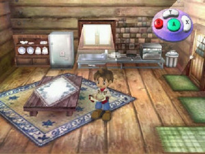 Harvest Moon: A Wonderful Life