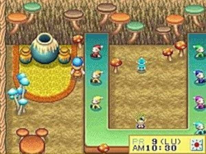 Harvest Moon DS