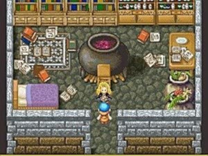 Harvest Moon DS