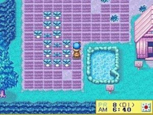 Harvest Moon DS