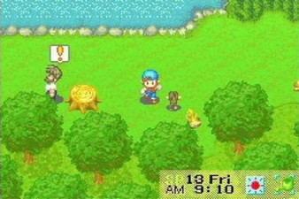 Harvest Moon: Friends of Mineral Town