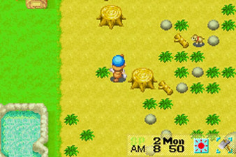 Harvest Moon: Friends of Mineral Town