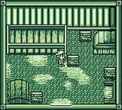 Harvest Moon GB