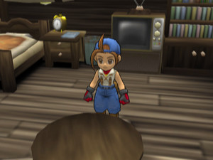 Harvest Moon: Save the Homeland