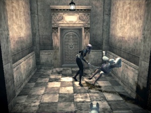 Haunting Ground