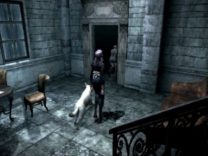 Haunting Ground