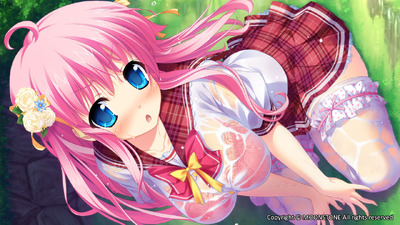 Imouto Paradise! 2