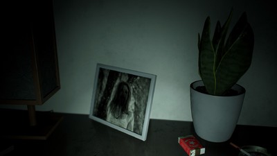 Infliction