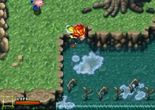 Linkle Liver Story