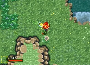 Linkle Liver Story