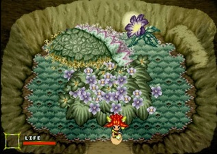 Linkle Liver Story