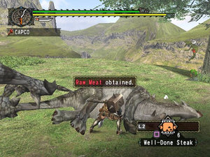 Monster Hunter