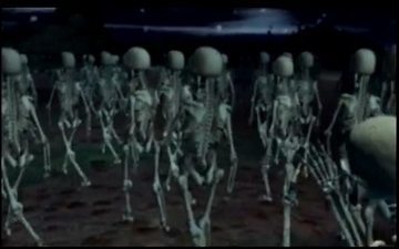 Mr. Bones