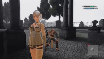 NieR