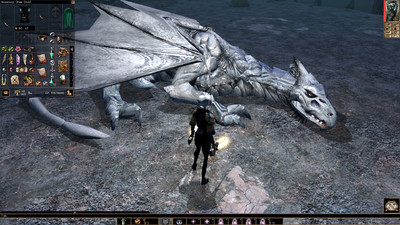 Neverwinter Nights