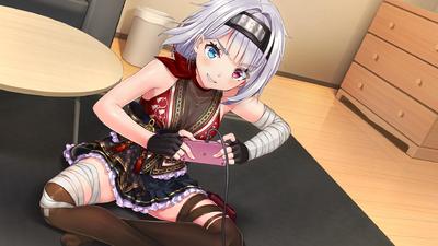 NinNinDays2