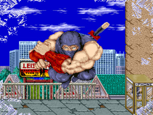 Ninja Gaiden