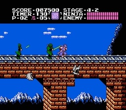 Ninja Gaiden