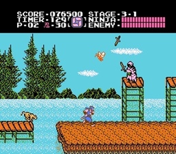 Ninja Gaiden